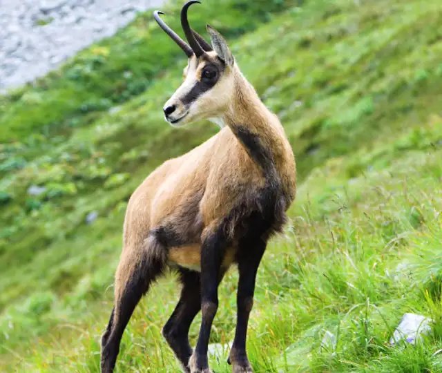 Skærmbillede 2024 05 07 163247