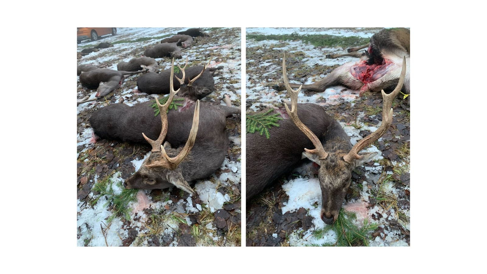 Kopi Af Hjemmeside Og PDF Format 169 (18)