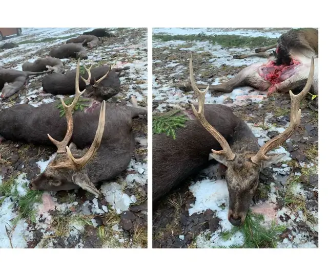 Kopi Af Hjemmeside Og PDF Format 169 (18)