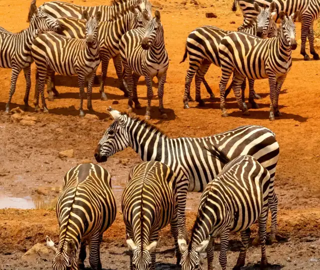 Skærmbillede 2024 07 01 124512