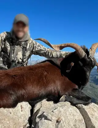 Skærmbillede 2024 12 04 125557 Min