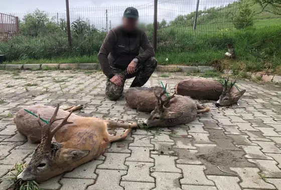 Whatsapp Image 2023 05 08 At 10.26.41