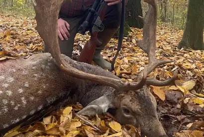 Whatsapp Image 2023 05 25 At 18.35.01