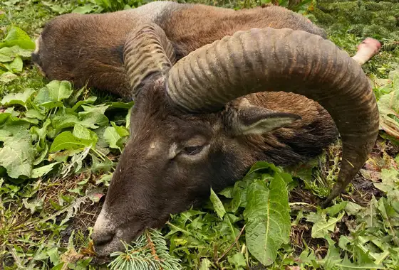 404296707 1109464013686416 26692853581022855 N