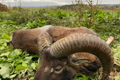 404296707 1109464013686416 26692853581022855 N