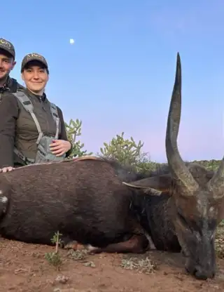 Ed6b21e9 1B6c 41A2 8Fba 77478A187d6e