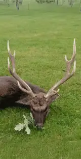 2 Min