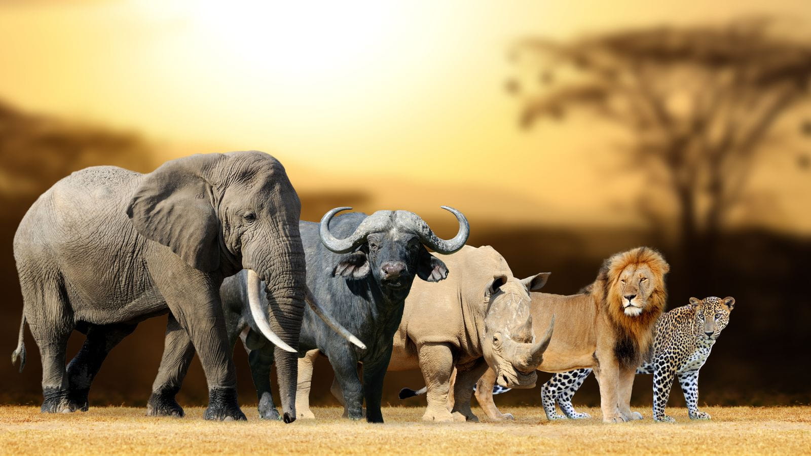 Kopi Af Hjemmeside Og PDF Format 169 (15) (1)