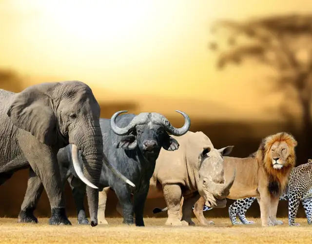 Kopi Af Hjemmeside Og PDF Format 169 (15) (1)