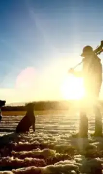 Skærmbillede 2024 03 12 095841