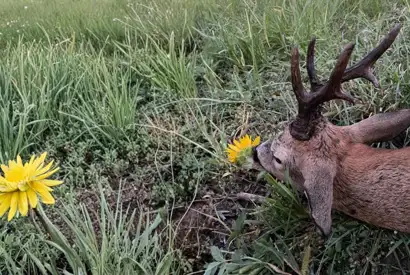 02BC8EC0 44BD 4104 B8F3 4CB2CD5EF845