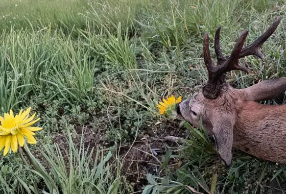 02BC8EC0 44BD 4104 B8F3 4CB2CD5EF845