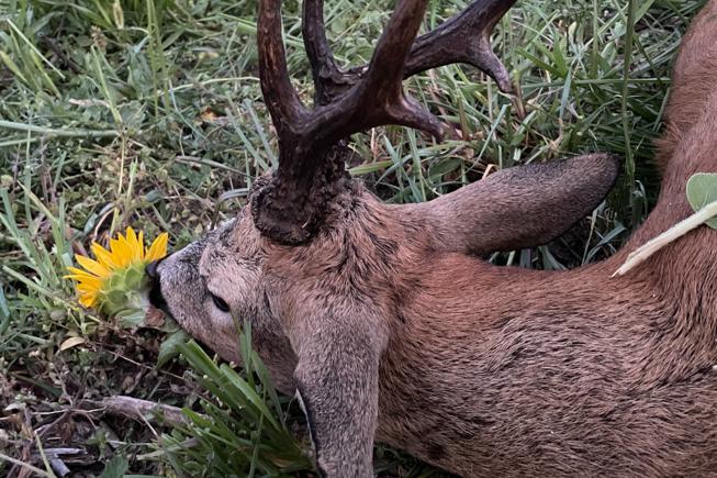 02BC8EC0 44BD 4104 B8F3 4CB2CD5EF845