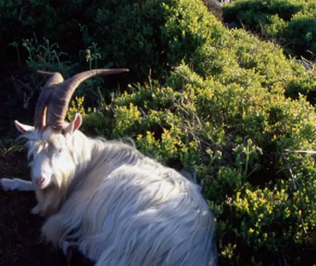 Skærmbillede 2024 10 03 150925