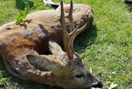 405713593 1112704096695741 7962497496345279160 N