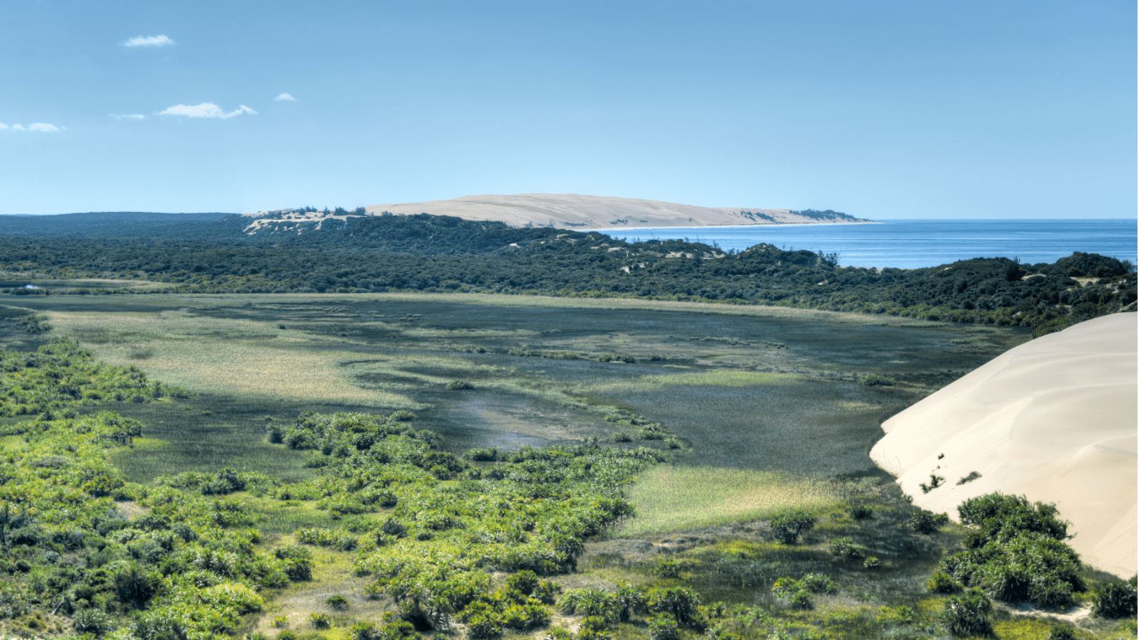 Hjemmeside Og Pdf Format 169 3 Min