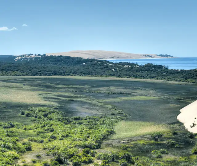 Hjemmeside Og Pdf Format 169 3 Min