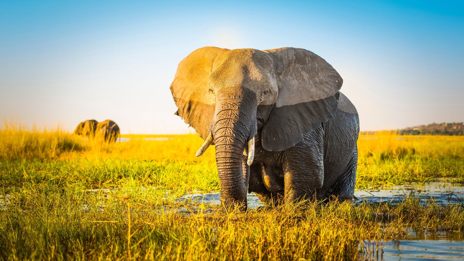 Kopi Af Hjemmeside Og Pdf Format 169 3 1