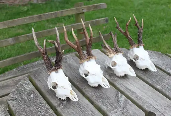 406427805 1113874319912052 348116669797867809 N