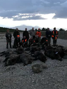 Skærmbillede 2024 09 25 133256