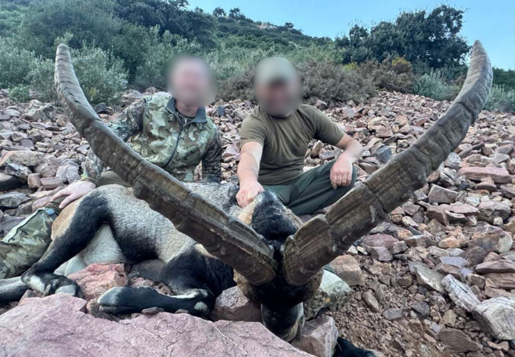 Design Uden Navn (33)