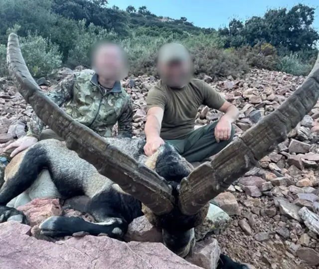 Design Uden Navn (33)