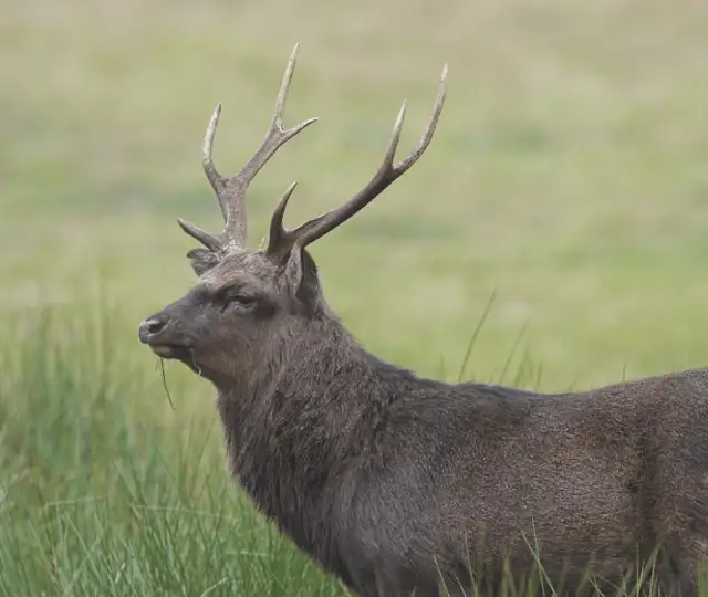 Skærmbillede 2024 12 17 134613 Min