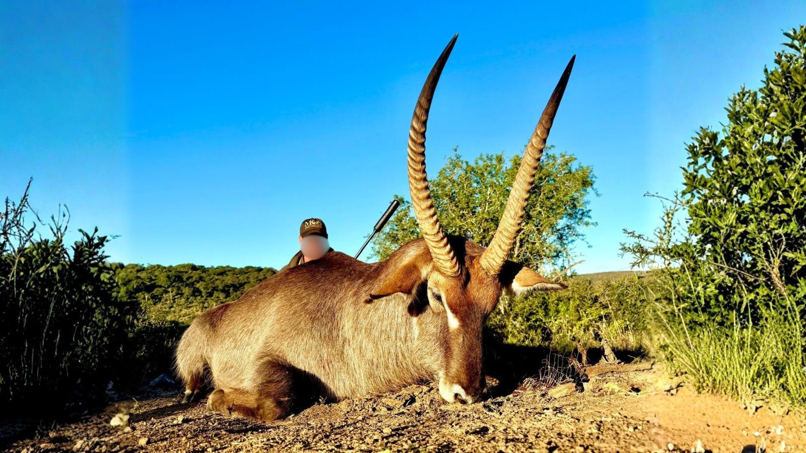 Whatsapp Image 2025 06 21 At 21.21.46