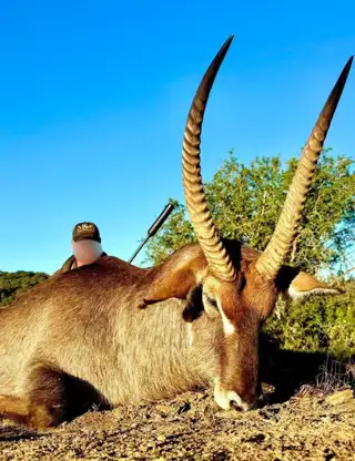 Whatsapp Image 2025 06 21 At 21.21.46