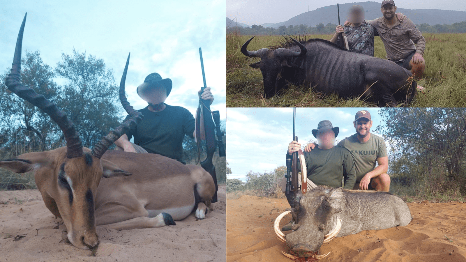 Hjemmeside Og PDF Format 169 (5) Min