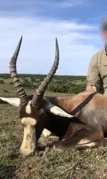 Kopi Af Hjemmeside Og PDF Format 169 2025 11 14T093704.889 Min