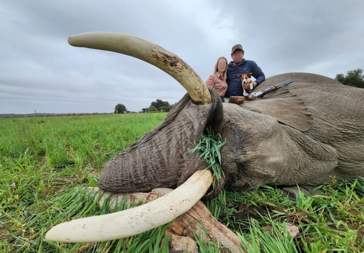 Design Uden Navn (54)