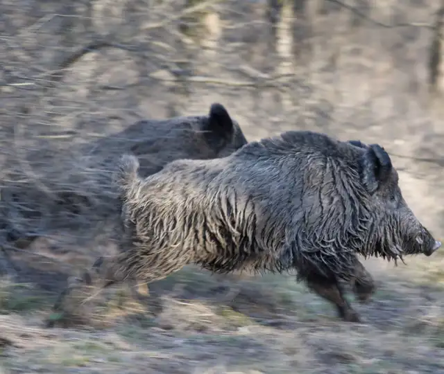 Skærmbillede 2024 05 07 165900