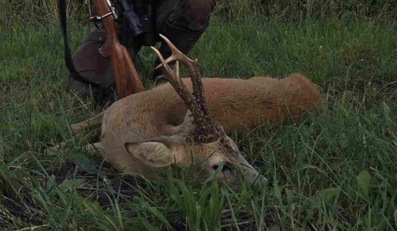 Skærmbillede 2022 07 19 Kl. 08.52.50