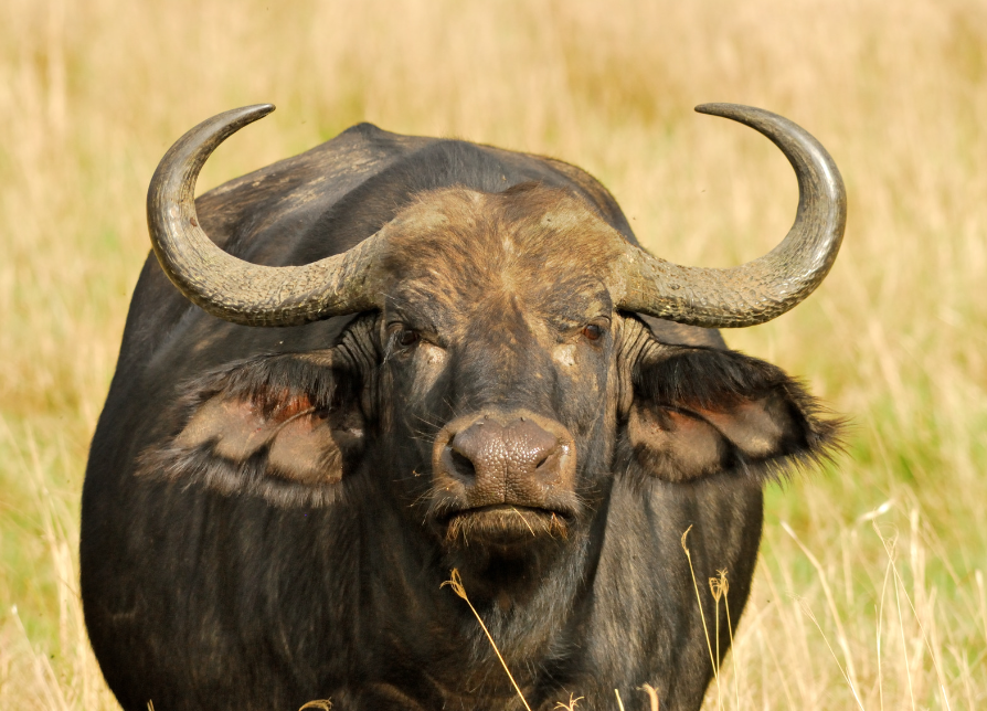 Skærmbillede 2024 03 05 115934