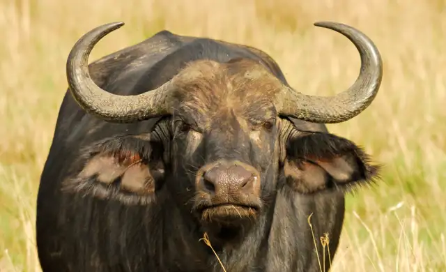 Skærmbillede 2024 03 05 115934