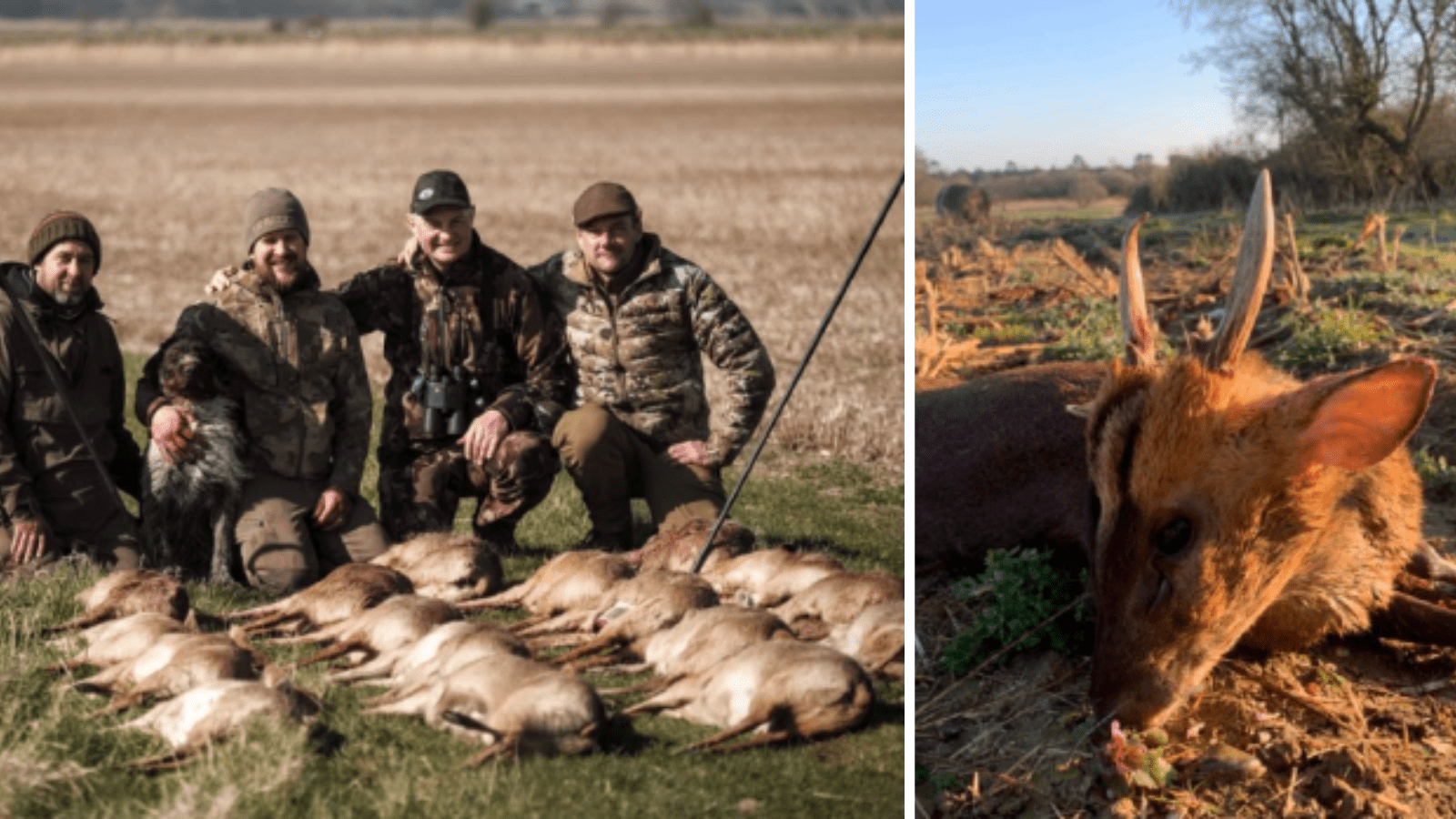 Hjemmeside Og PDF Format 169 (5) Min