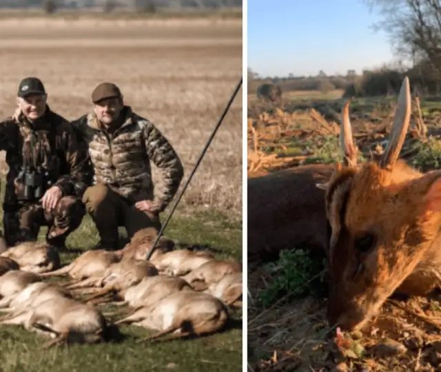 Hjemmeside Og PDF Format 169 (5) Min