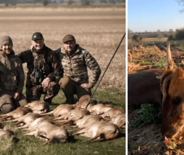 Hjemmeside Og PDF Format 169 (5) Min