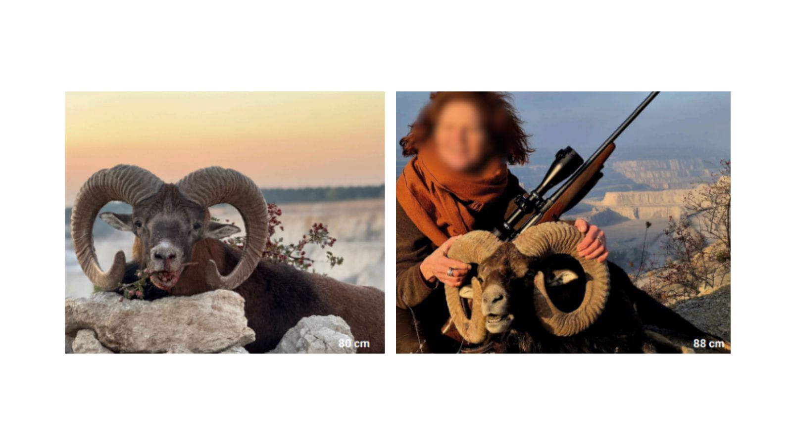 Kopi Af Hjemmeside Og PDF Format 169 (27)