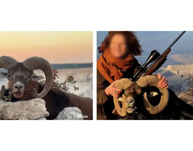 Kopi Af Hjemmeside Og PDF Format 169 (27)