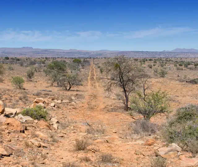 Skærmbillede 2024 07 02 102305