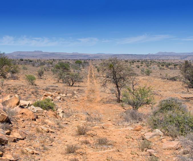 Skærmbillede 2024 07 02 102305