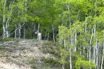 Whatsapp Image 2024 06 10 At 06.43.43