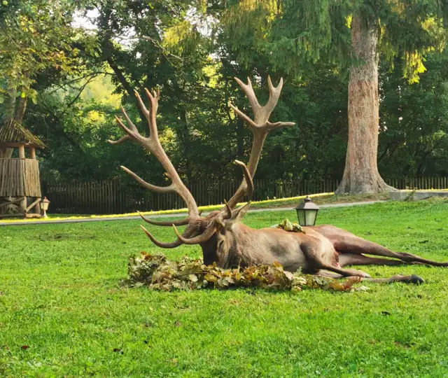 Whatsapp Billede 2025 05 22 Kl. 19.47.42 52A327d5