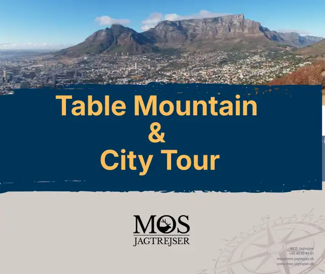 E Brochure Table Mountain City Tour.Pdf