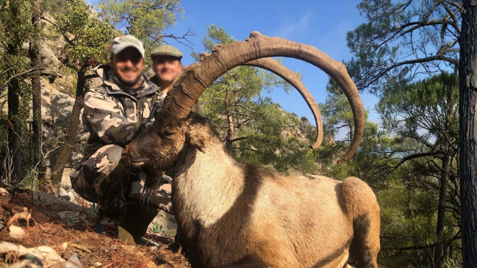 Skærmbillede 2023 12 04 162420