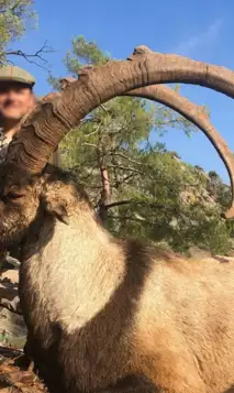 Skærmbillede 2023 12 04 162420