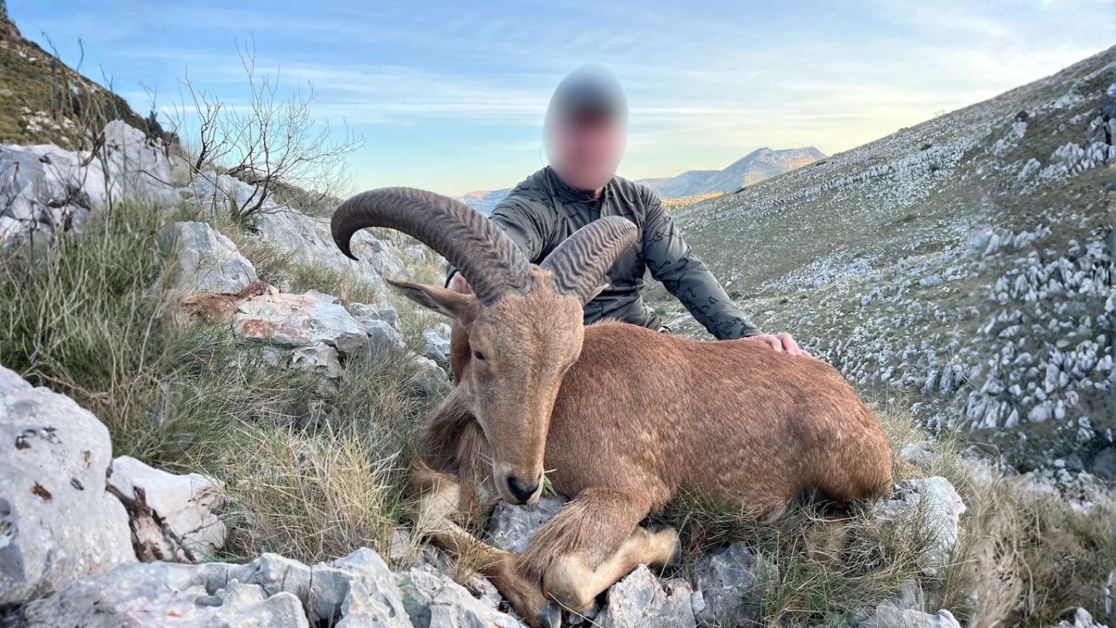 Kopi Af Hjemmeside Og PDF Format 169 (10)