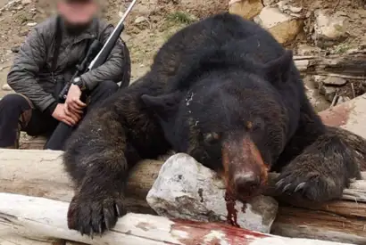 Skærmbillede 2024 07 04 082324